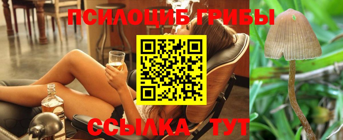 Галлюциногенные грибы MAGIC MUSHROOMS Острогожск